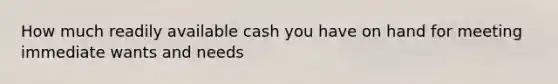 How much readily available cash you have on hand for meeting immediate wants and needs