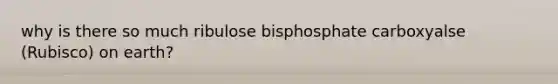 why is there so much ribulose bisphosphate carboxyalse (Rubisco) on earth?