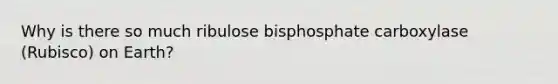 Why is there so much ribulose bisphosphate carboxylase (Rubisco) on Earth?