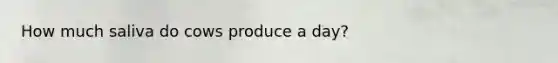 How much saliva do cows produce a day?