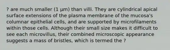 ? are much smaller (1 µm) than villi. They are cylindrical apical surface extensions of the plasma membrane of the mucosa's columnar epithelial cells, and are supported by microfilaments within those cells. Although their small size makes it difficult to see each microvillus, their combined microscopic appearance suggests a mass of bristles, which is termed the ?