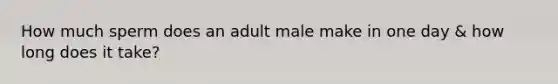 How much sperm does an adult male make in one day & how long does it take?