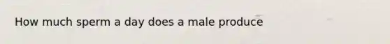 How much sperm a day does a male produce