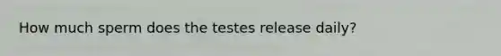 How much sperm does the testes release daily?