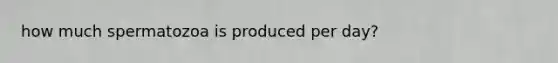 how much spermatozoa is produced per day?