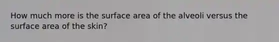 How much more is the surface area of the alveoli versus the surface area of the skin?