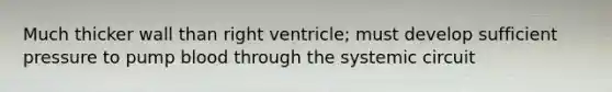 Much thicker wall than right ventricle; must develop sufficient pressure to pump blood through the systemic circuit