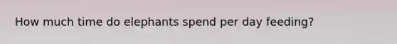 How much time do elephants spend per day feeding?