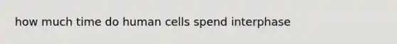 how much time do human cells spend interphase