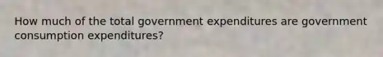 How much of the total government expenditures are government consumption expenditures?