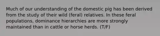 Much of our understanding of the domestic pig has been derived from the study of their wild (feral) relatives. In these feral populations, dominance hierarchies are more strongly maintained than in cattle or horse herds. (T/F)