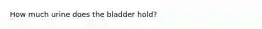 How much urine does the bladder hold?