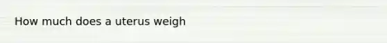 How much does a uterus weigh