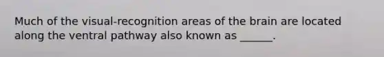 Much of the visual-recognition areas of the brain are located along the ventral pathway also known as ______.