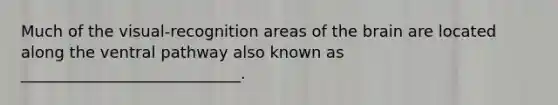 Much of the visual-recognition areas of the brain are located along the ventral pathway also known as ____________________________.