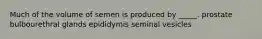 Much of the volume of semen is produced by _____. prostate bulbourethral glands epididymis seminal vesicles