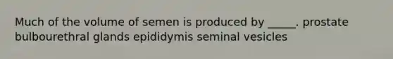 Much of the volume of semen is produced by _____. prostate bulbourethral glands epididymis seminal vesicles