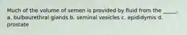 Much of the volume of semen is provided by fluid from the _____. a. bulbourethral glands b. seminal vesicles c. epididymis d. prostate