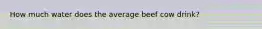 How much water does the average beef cow drink?