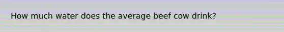 How much water does the average beef cow drink?