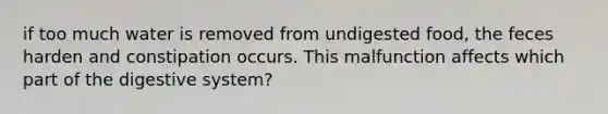 if too much water is removed from undigested food, the feces harden and constipation occurs. This malfunction affects which part of the digestive system?