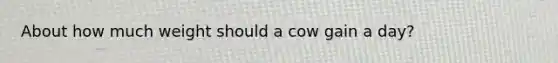 About how much weight should a cow gain a day?