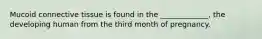 Mucoid connective tissue is found in the _____________, the developing human from the third month of pregnancy.