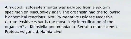 A mucoid, lactose-fermenter was isolated from a sputum specimen on MacConkey agar. The organism had the following biochemical reactions: Motility Negative Oxidase Negative Citrate Positive What is the most likely identification of the organism? a. Klebsiella pneumoniae b. Serratia marcescens c. Proteus vulgaris d. Hafnia alvei