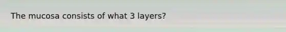 The mucosa consists of what 3 layers?