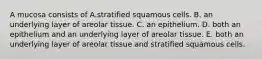 A mucosa consists of A.stratified squamous cells. B. an underlying layer of areolar tissue. C. an epithelium. D. both an epithelium and an underlying layer of areolar tissue. E. both an underlying layer of areolar tissue and stratified squamous cells.