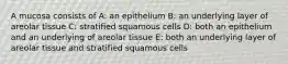 A mucosa consists of A: an epithelium B: an underlying layer of areolar tissue C: stratified squamous cells D: both an epithelium and an underlying of areolar tissue E: both an underlying layer of areolar tissue and stratified squamous cells