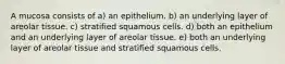 A mucosa consists of a) an epithelium. b) an underlying layer of areolar tissue. c) stratified squamous cells. d) both an epithelium and an underlying layer of areolar tissue. e) both an underlying layer of areolar tissue and stratified squamous cells.