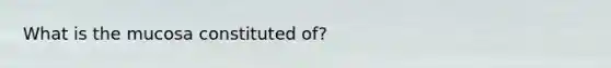 What is the mucosa constituted of?
