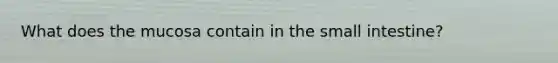 What does the mucosa contain in the small intestine?