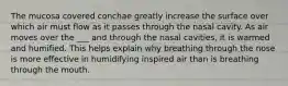 The mucosa covered conchae greatly increase the surface over which air must flow as it passes through the nasal cavity. As air moves over the ___ and through the nasal cavities, it is warmed and humified. This helps explain why breathing through the nose is more effective in humidifying inspired air than is breathing through the mouth.