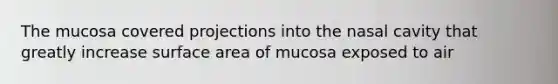 The mucosa covered projections into the nasal cavity that greatly increase surface area of mucosa exposed to air