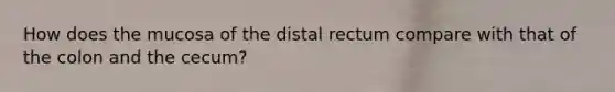 How does the mucosa of the distal rectum compare with that of the colon and the cecum?