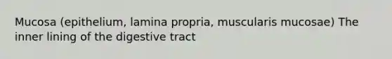 Mucosa (epithelium, lamina propria, muscularis mucosae) The inner lining of the digestive tract