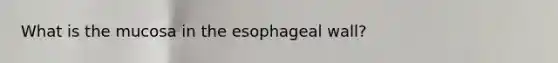 What is the mucosa in the esophageal wall?