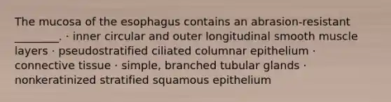 The mucosa of the esophagus contains an abrasion-resistant ________. · inner circular and outer longitudinal smooth muscle layers · pseudostratified ciliated columnar epithelium · connective tissue · simple, branched tubular glands · nonkeratinized stratified squamous epithelium