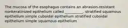 The mucosa of the esophagus contains an abrasion-resistant nonkeratinized epithelium called __________. stratified squamous epithelium simple cuboidal epithelium stratified cuboidal epithelium simple squamous epithelium