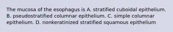 The mucosa of the esophagus is A. stratified cuboidal epithelium. B. pseudostratified columnar epithelium. C. simple columnar epithelium. D. nonkeratinized stratified squamous epithelium