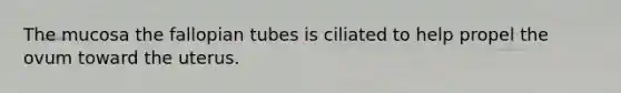 The mucosa the fallopian tubes is ciliated to help propel the ovum toward the uterus.