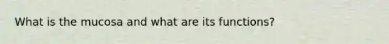 What is the mucosa and what are its functions?