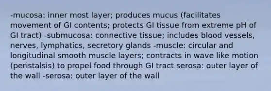 -mucosa: inner most layer; produces mucus (facilitates movement of GI contents; protects GI tissue from extreme pH of GI tract) -submucosa: connective tissue; includes blood vessels, nerves, lymphatics, secretory glands -muscle: circular and longitudinal smooth muscle layers; contracts in wave like motion (peristalsis) to propel food through GI tract serosa: outer layer of the wall -serosa: outer layer of the wall