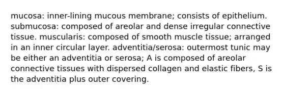 mucosa: inner-lining mucous membrane; consists of epithelium. submucosa: composed of areolar and dense irregular connective tissue. muscularis: composed of smooth muscle tissue; arranged in an inner circular layer. adventitia/serosa: outermost tunic may be either an adventitia or serosa; A is composed of areolar connective tissues with dispersed collagen and elastic fibers, S is the adventitia plus outer covering.