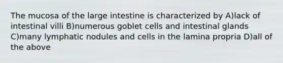 The mucosa of the large intestine is characterized by A)lack of intestinal villi B)numerous goblet cells and intestinal glands C)many lymphatic nodules and cells in the lamina propria D)all of the above