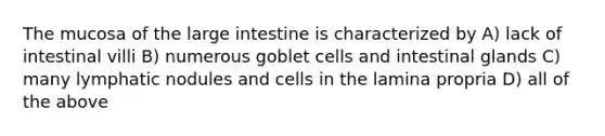 The mucosa of the large intestine is characterized by A) lack of intestinal villi B) numerous goblet cells and intestinal glands C) many lymphatic nodules and cells in the lamina propria D) all of the above