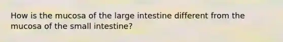 How is the mucosa of the large intestine different from the mucosa of the small intestine?