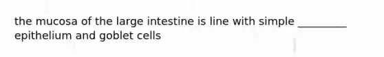 the mucosa of the large intestine is line with simple _________ epithelium and goblet cells